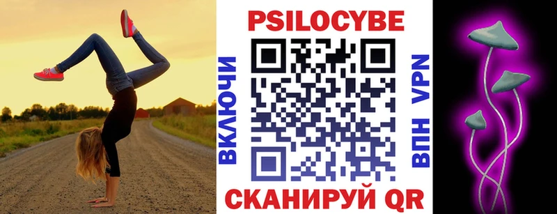 KRAKEN зеркало  Ржев  Псилоцибиновые грибы GOLDEN TEACHER 